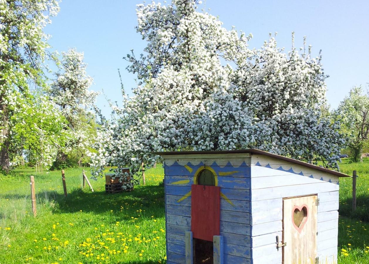 Schoenbuchjuwel Walddorf  Exteriör bild